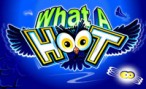 What-a-Hoot-146x89