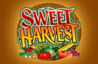 thumb_sweet-harvest1-140x91