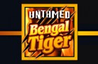 thumb_unmated-bengal-tiger-140x91