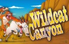 wildcat-canyon-140x91