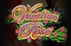 Venet_Rose-140x91