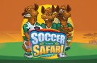 soccer1-140x91