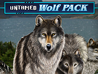 UntamedWolfPack
